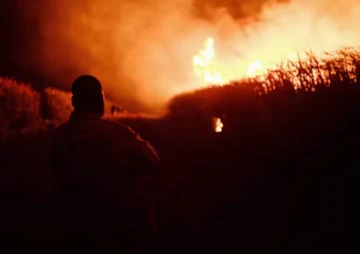 Incêndio rural